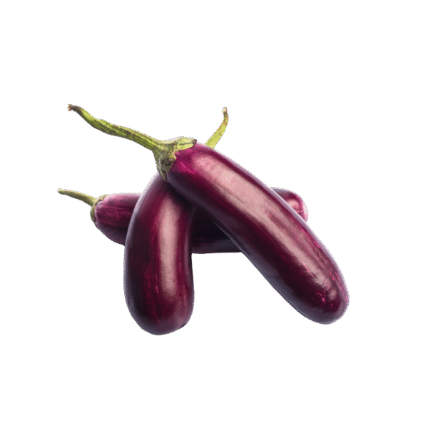 Premium Quality Brinjal.