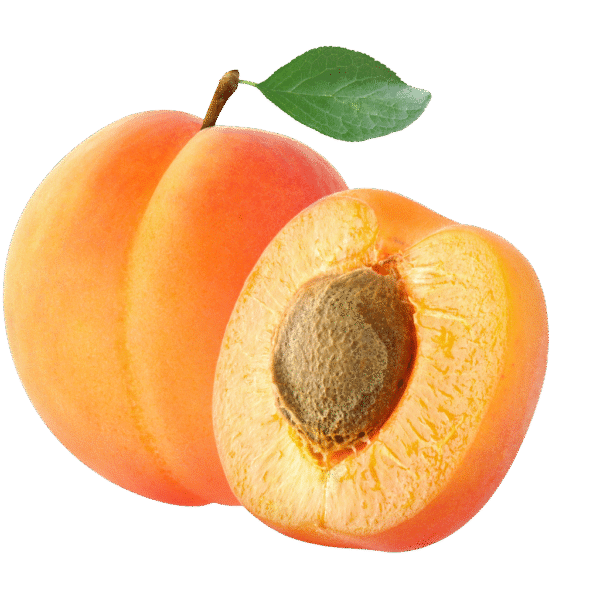 Premium Dried Apricots.